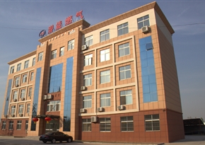 成武县suncitygroup燃气有限公司